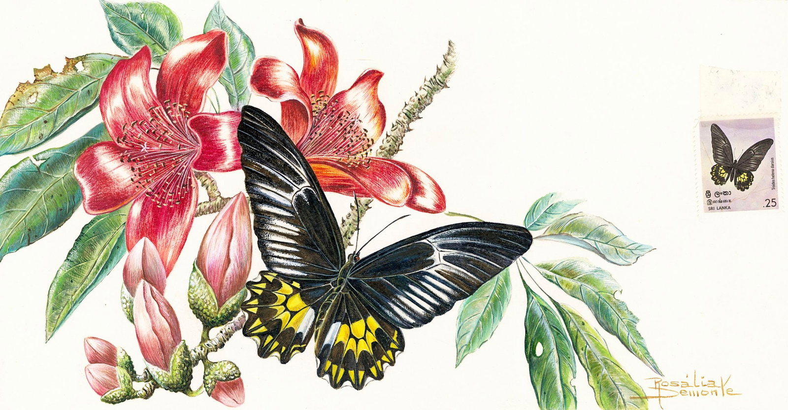 Rosalia Demonte (Brazil,1932-2009) gouache painting (1 of 12)