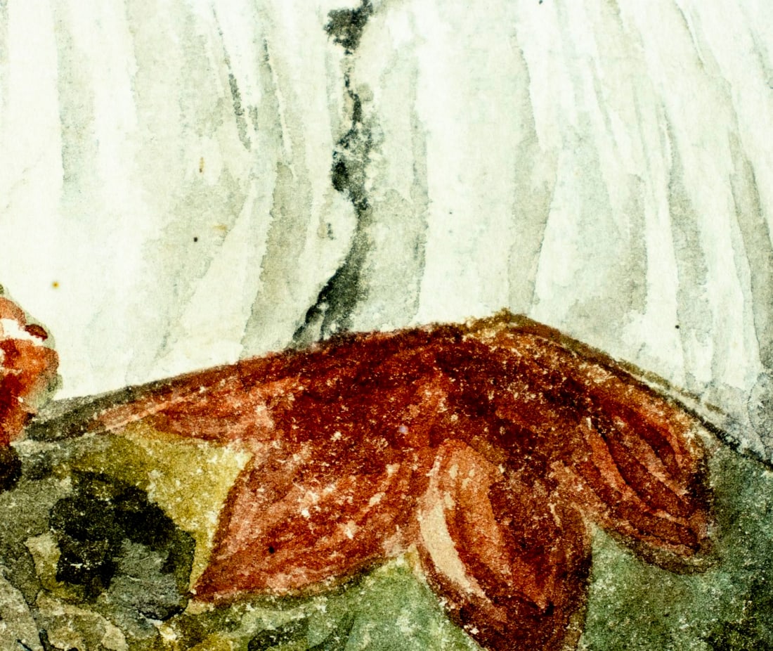 Clelia Bompiani Battaglia (Italy,1847-1927) watercolor painting - 8