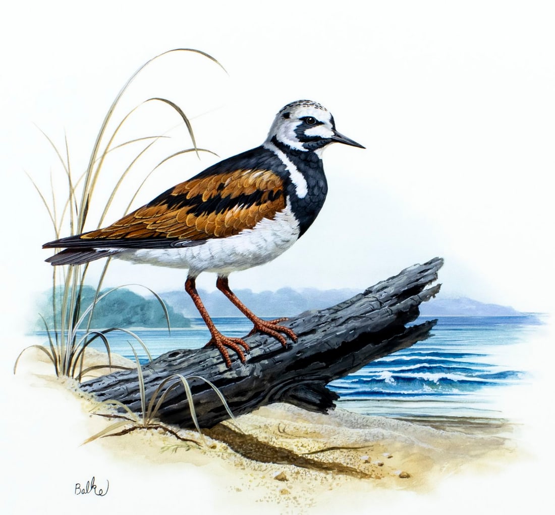 Don Balke (NC,1933-?) gouache painting (1 of 13)