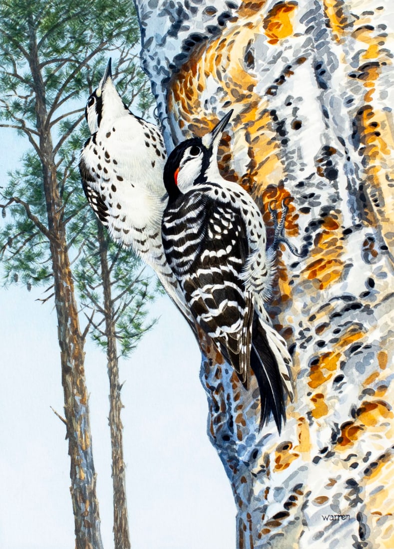 Michael Warren (UK,1938-?) watercolor painting (1 of 13)