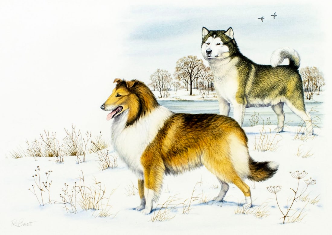 Peter Barrett (UK,1935-?) watercolor painting (1 of 12)