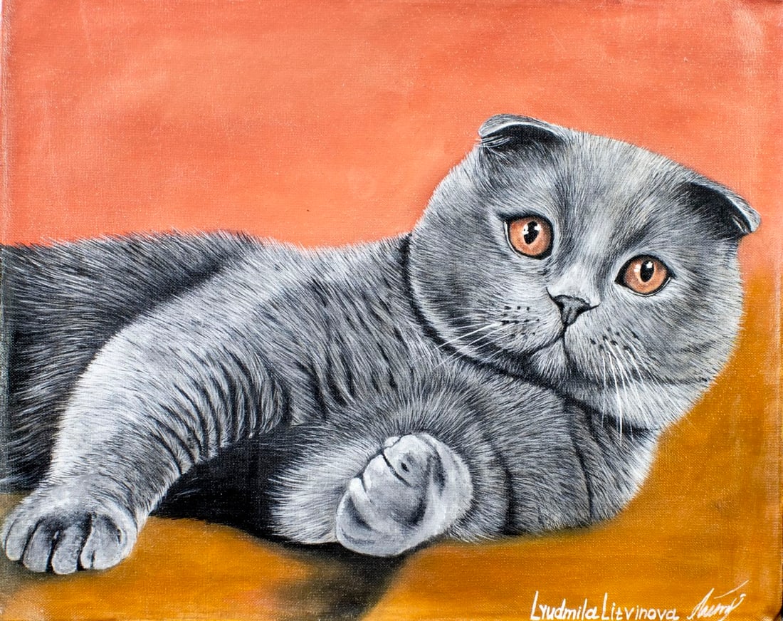 Lyudmila Litvinova (Russia,b 1991) acrylic painting: ARTIST: Lyudmila Litvinova (Russian, born 1991) TITLE: Scottish Fold Cat (titled on verso) MEDIUM: acrylic on canvas CONDITION: Unstretched (In-House stretching available).