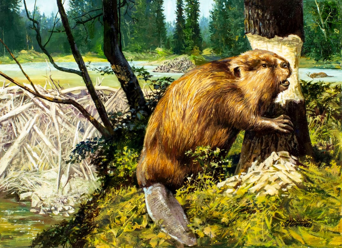 Shannon Stirnweis (AZ,NY,NH,OR,1931-2019) oil painting (1 of 12)