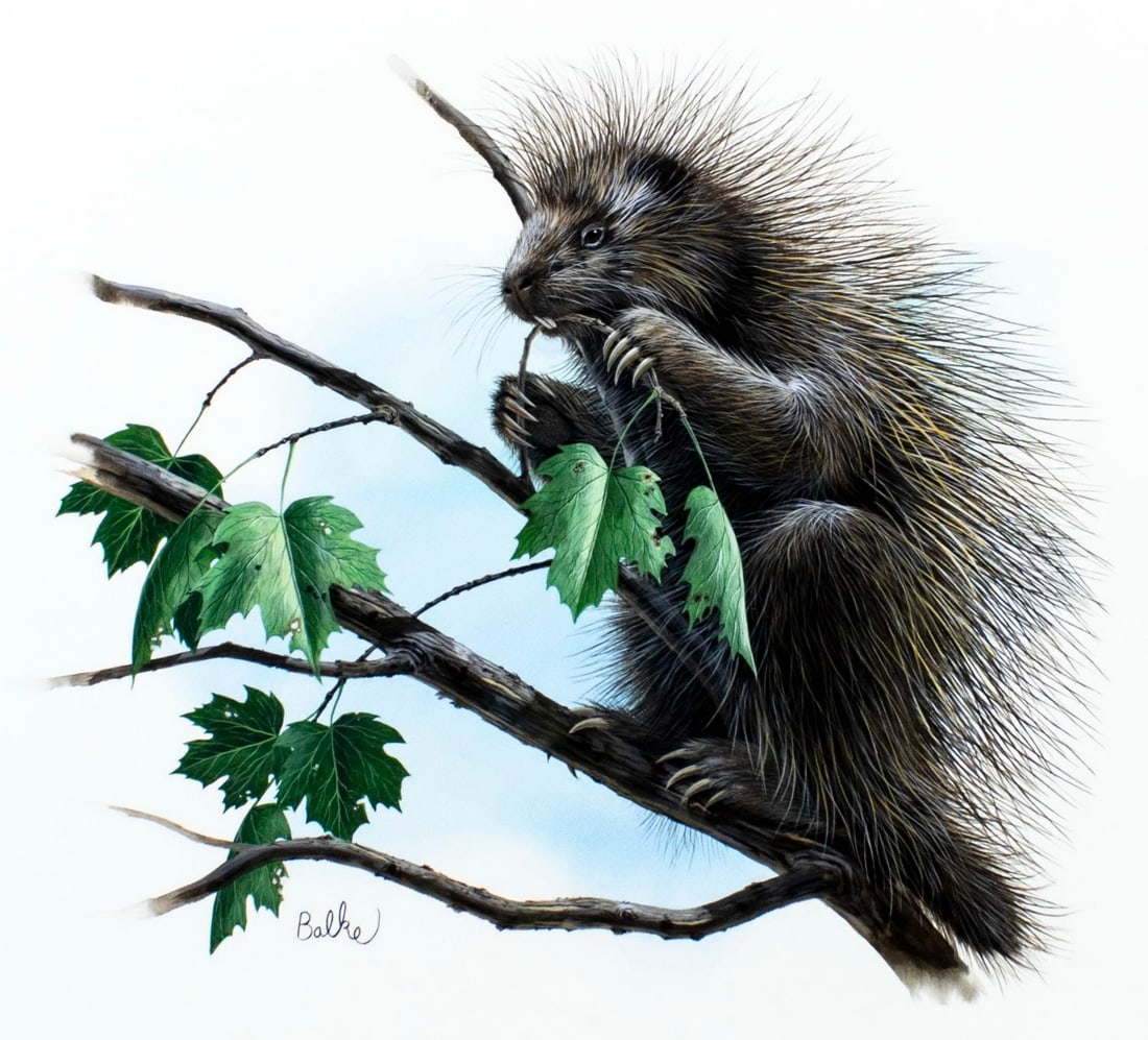 Don Balke (NC,1933-?) gouache painting (1 of 15)