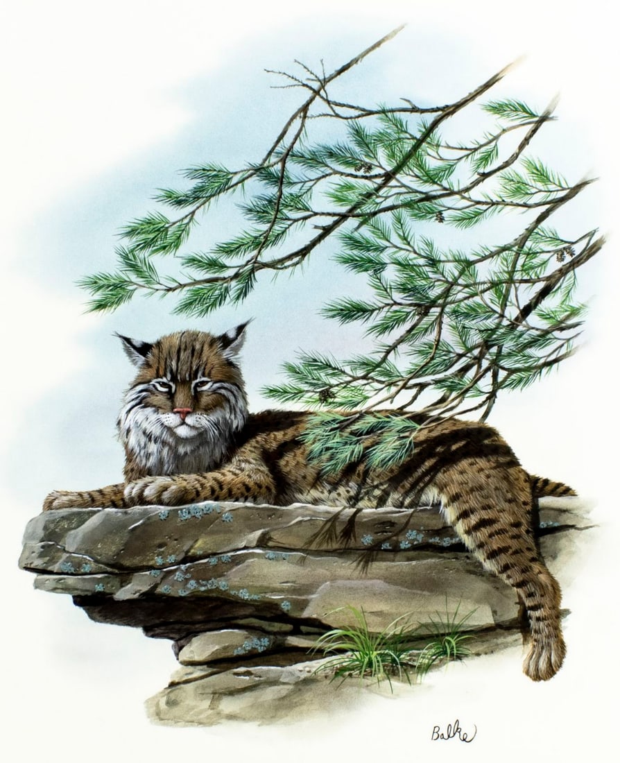 Don Balke (NC,1933-?) gouache painting (1 of 13)