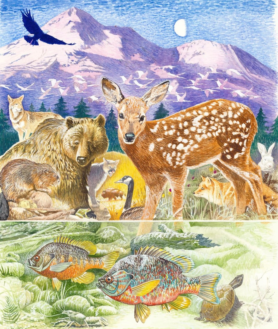 Jim Butcher (MD,1944-?) watercolor painting (1 of 13)