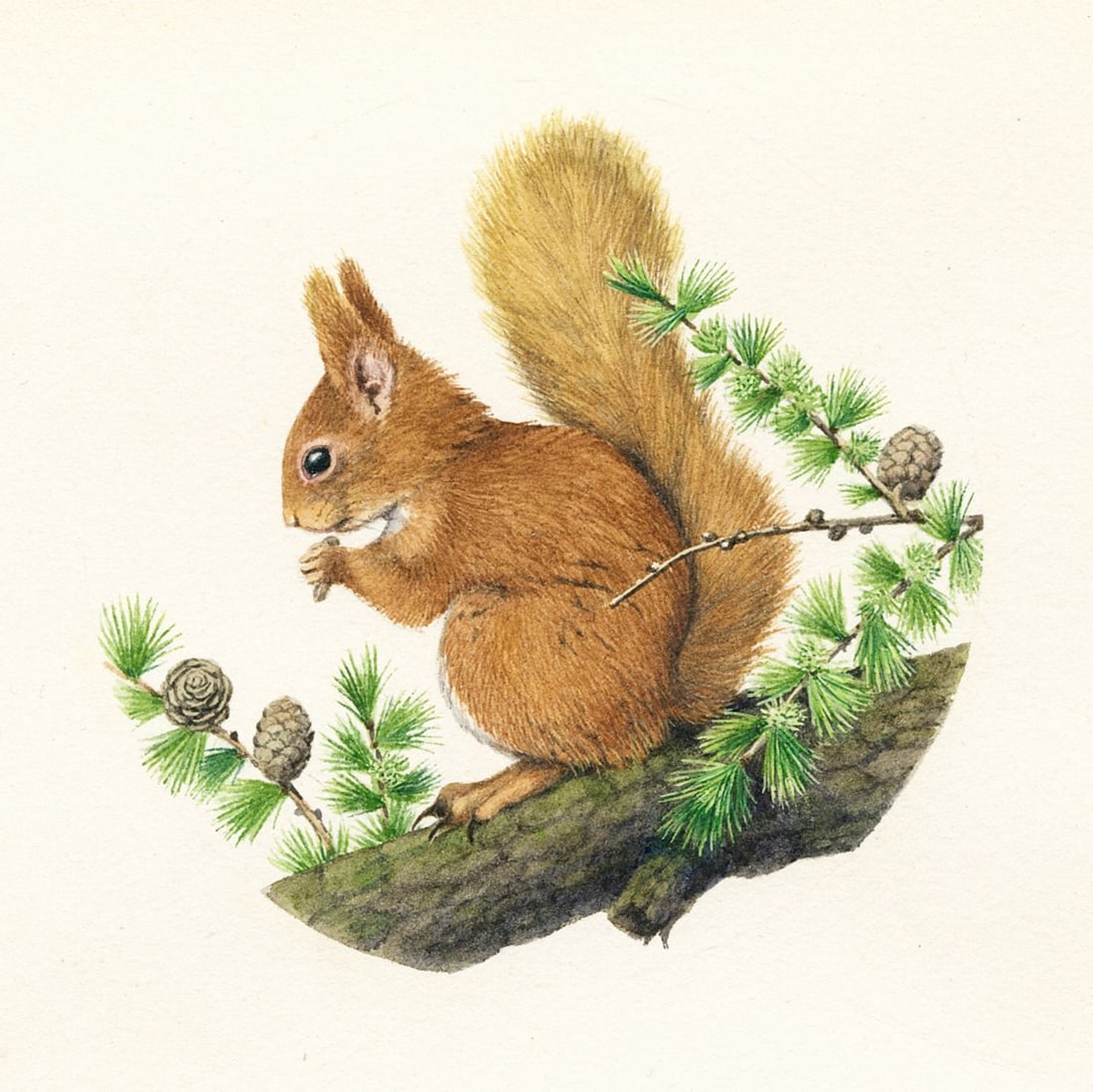 Peter Barrett (UK,1935-?) gouache painting (1 of 12)