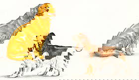 George McMonigle (PA,Hawaii,b 1951) watercolor painting: ARTIST: George McMonigle (Pennsylvania, Hawaiian, born 1951) TITLE: Golden Retriever and English Springer Spaniel Dog YEAR: 1985 MEDIUM: watercolor on paper. Paper applied t