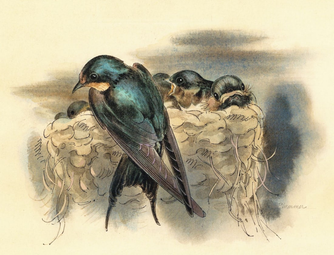 William Plummer (UK,20C) watercolor painting (1 of 14)