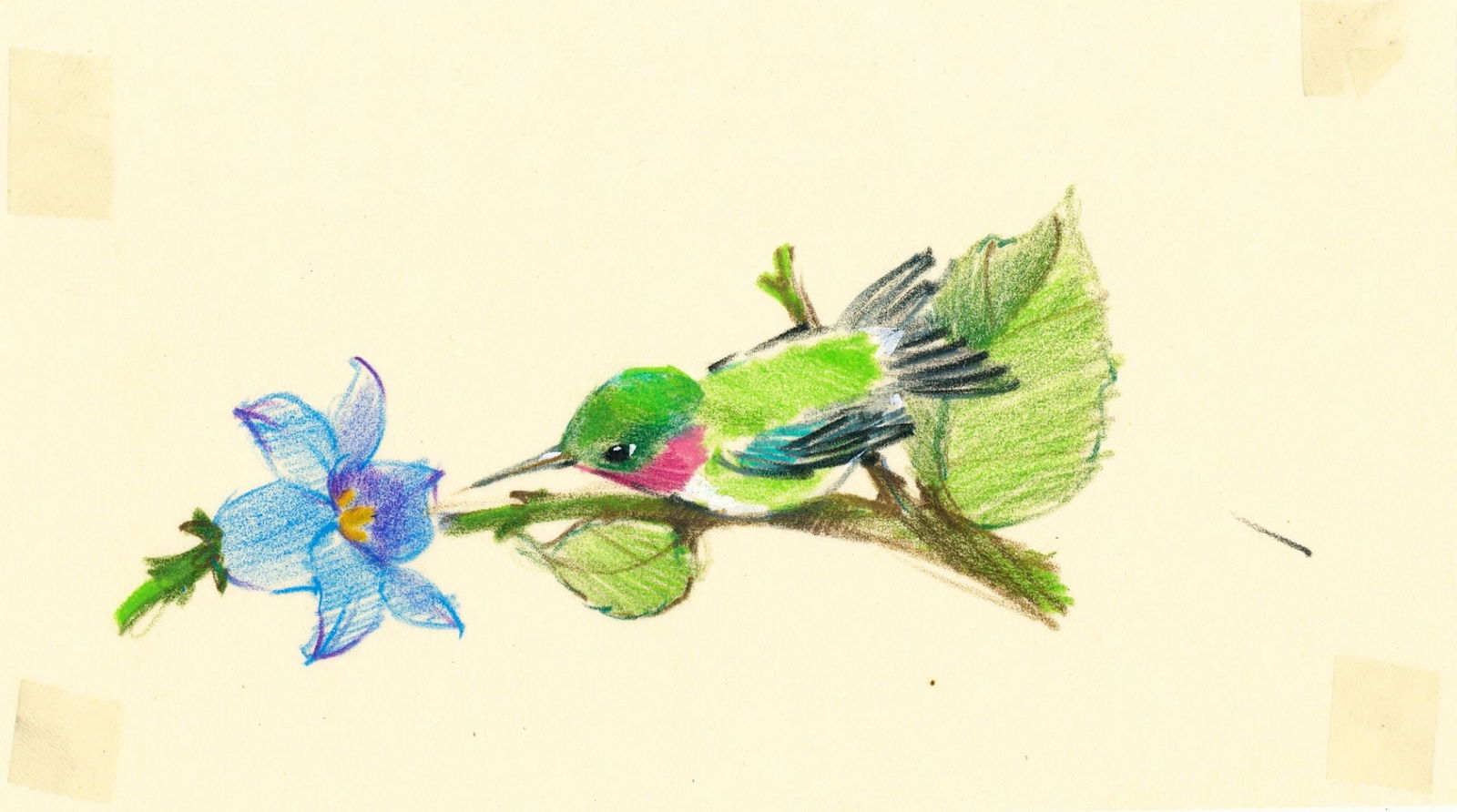 Al Fishman (PA,20C) colored pencil painting (1 of 12)