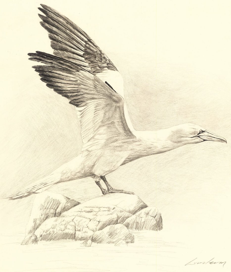 Scott Woolever (MD,20/21C) graphite painting (1 of 10)