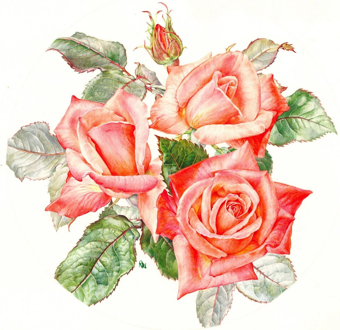 Rosanne Sanders (UK,20/21C) watercolor painting (1 of 13)