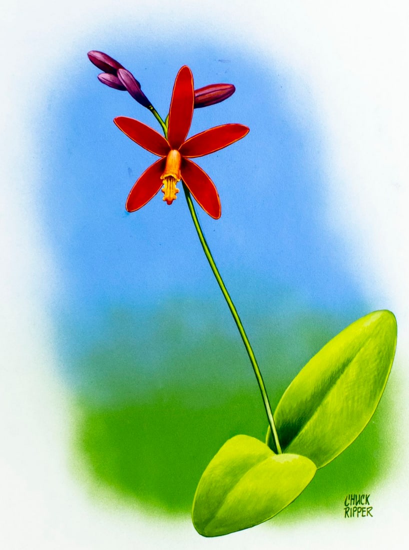 Chuck Ripper (WV,PA,1929-2019) gouache painting (1 of 13)