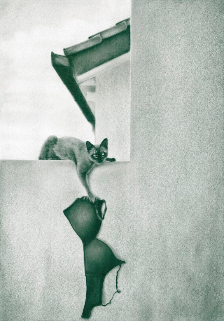 Olga Novostavskaya (Ukraine,b 1967) oil painting: ARTIST: Olga Novostavskaya (Ukrainian, born 1967) TITLE: Cat MEDIUM: oil on paper CONDITION: Very good. No visible inpaint under UV light. ART SIZE: 12 x