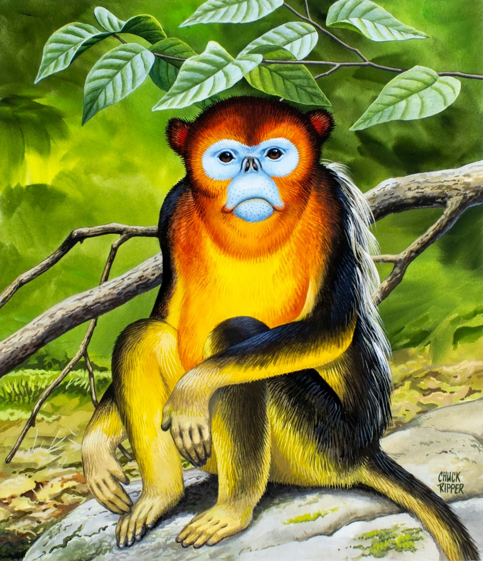 Chuck Ripper (WV,PA,1929-2019) gouache painting (1 of 13)