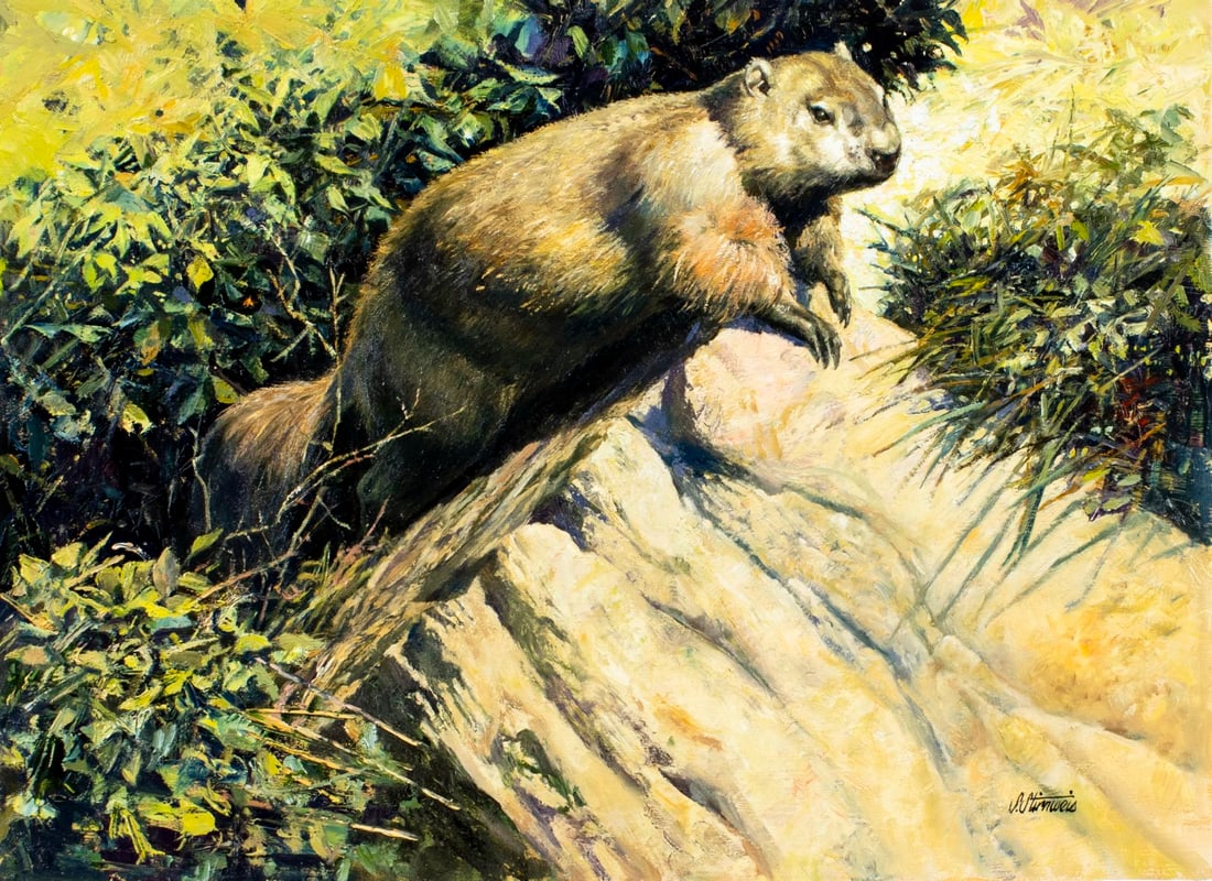 Shannon Stirnweis (AZ,NY,NH,OR,1931-2019) oil painting (1 of 13)