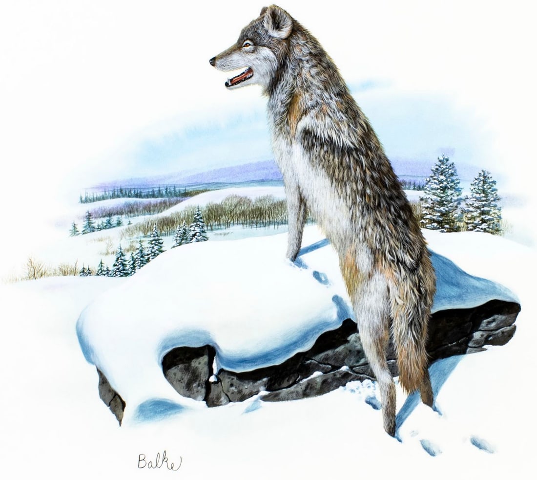 Don Balke (NC,1933-?) gouache painting (1 of 12)