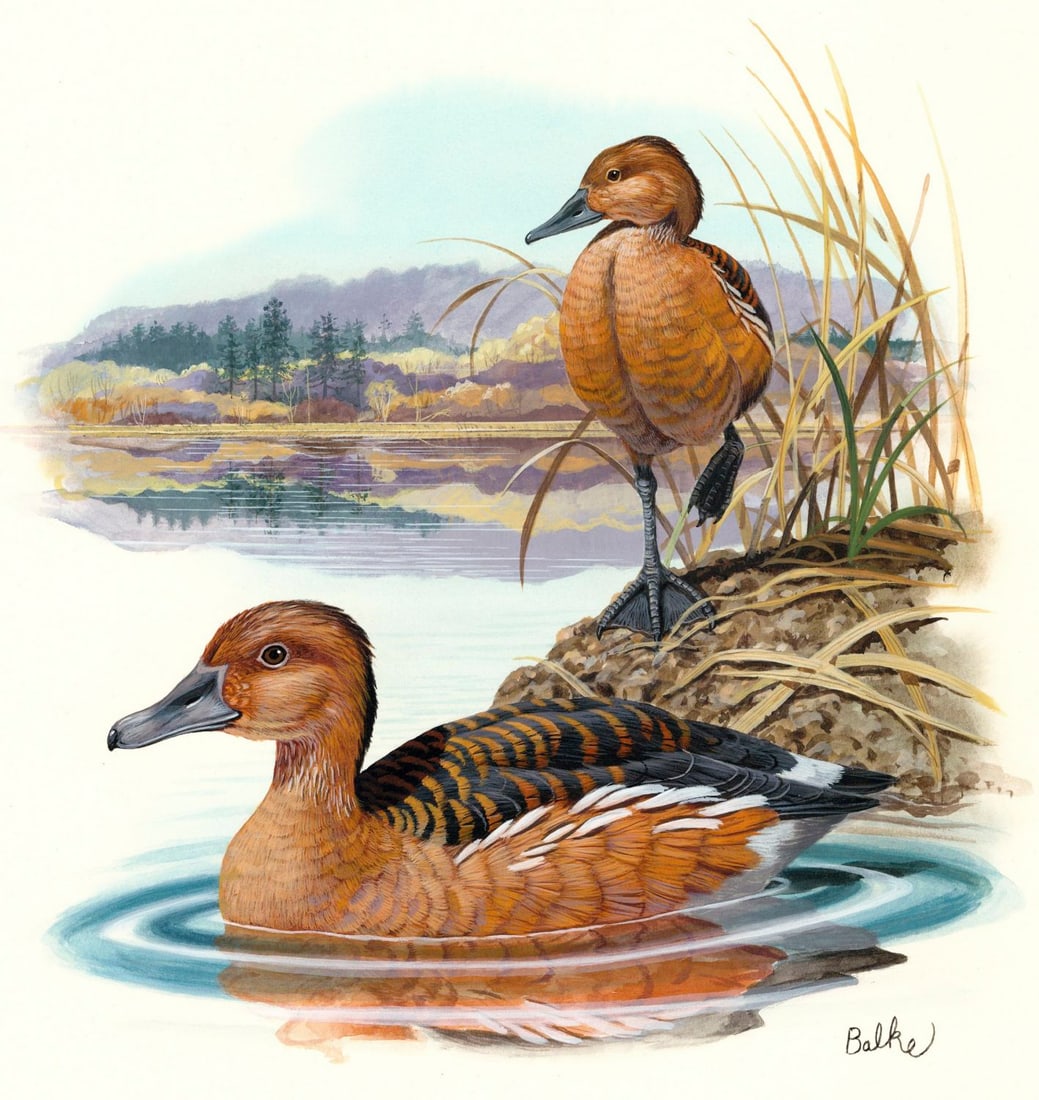 Don Balke (NC,1933-?) gouache painting (1 of 13)