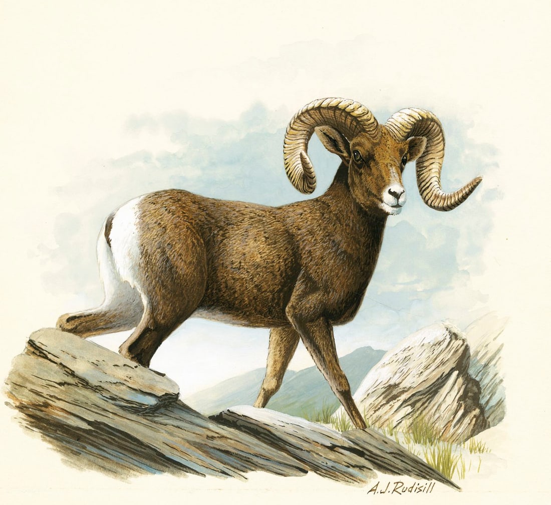 Anthony J Rudisill (US,1934-?) gouache painting (1 of 12)