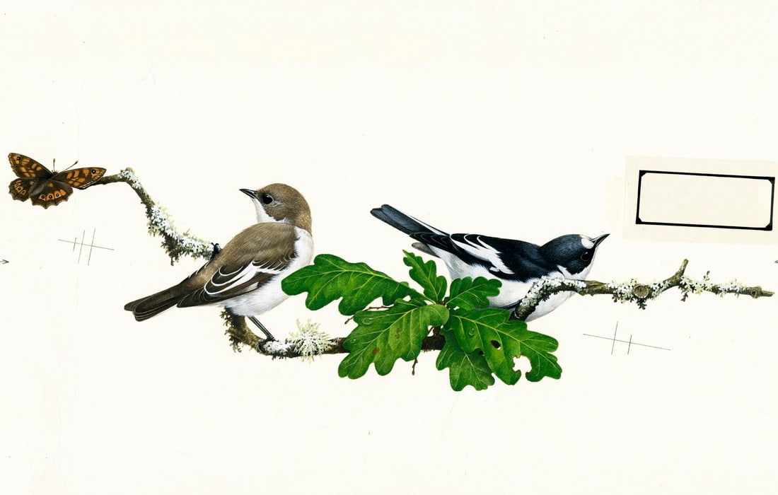 Terence Lambert (UK,b 1951) gouache painting (1 of 14)