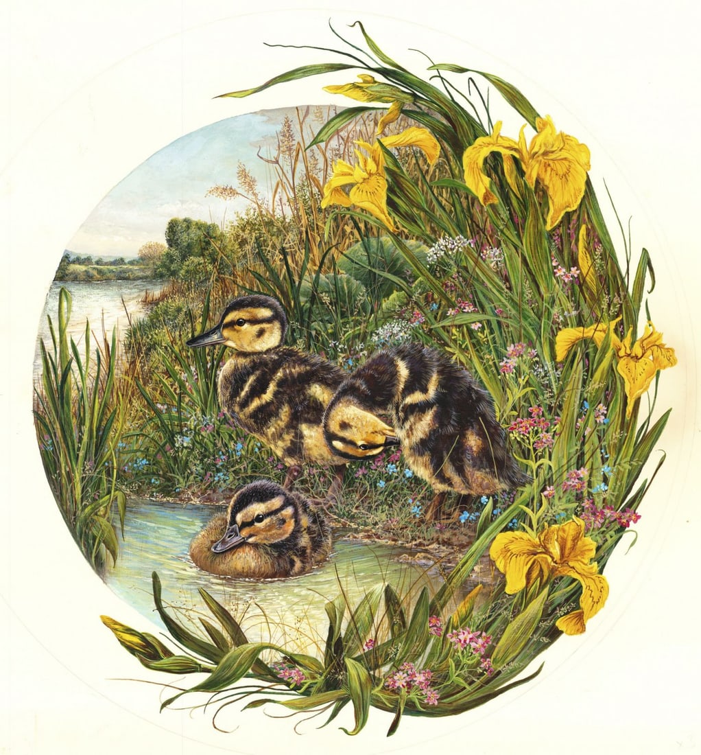 Conrad Franz (German,b 1950) gouache painting (1 of 11)