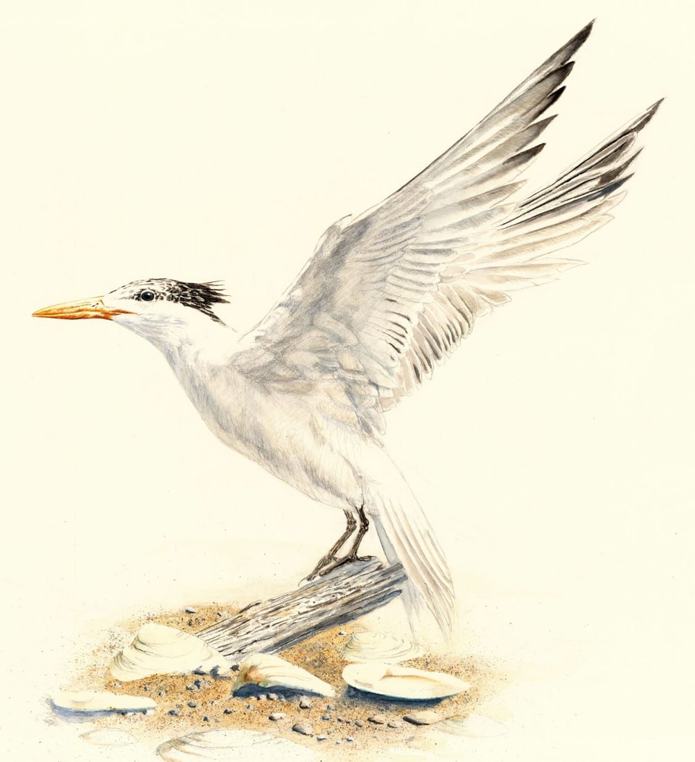 Scott Woolever (MD,20/21C) watercolor painting (1 of 9)