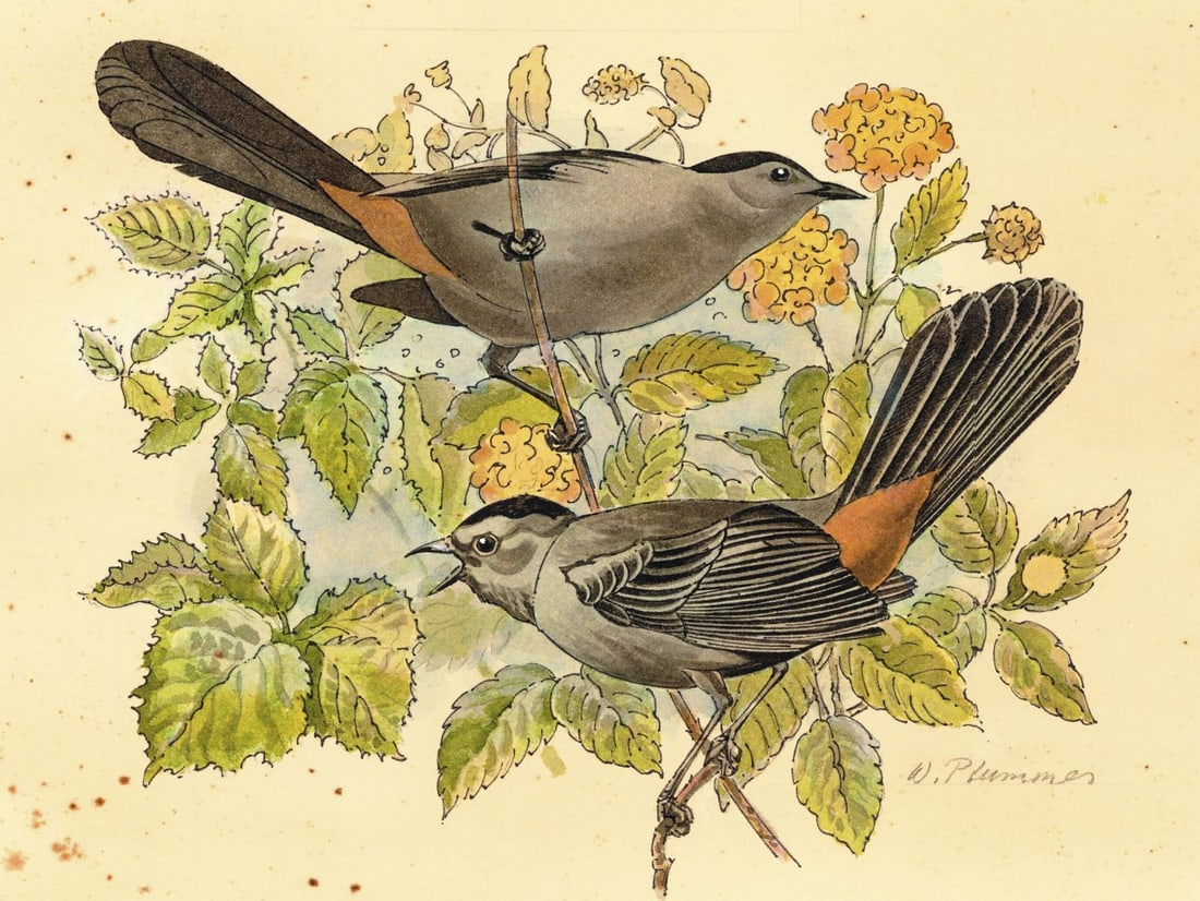 William Plummer (UK,20C) watercolor painting (1 of 14)