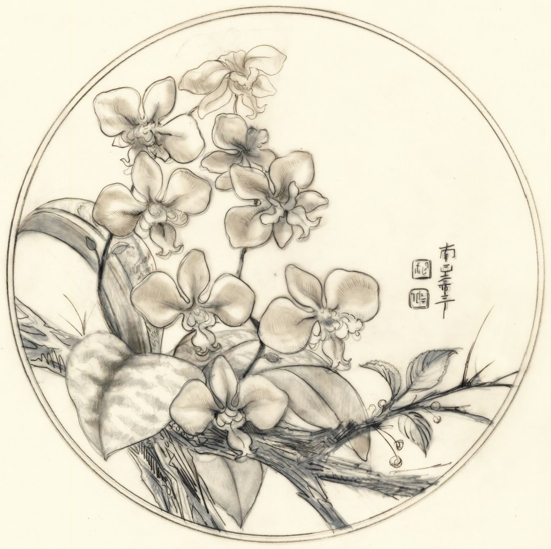 Loretta Moskal (NC,20/21C) graphite painting: ARTIST: Loretta Moskal (North Carolina, 20/21 centuries) TITLE: Orchid Plate (titled on verso) YEAR: 1980s MEDIUM: graphite on paper. Paper applied to board. COND