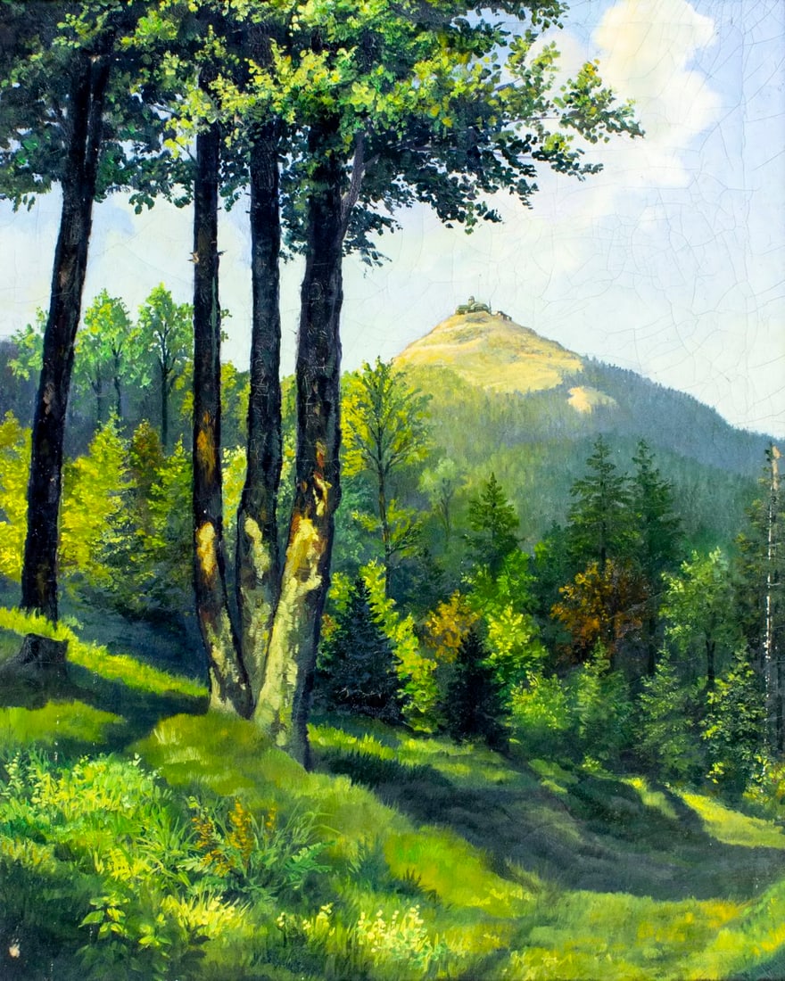 Antique early 20C European oil painting signed: ARTIST: - (Europe, early 20 century) TITLE: Mountain Landscape MEDIUM: oil on canvas CONDITION: Some flaking/paint losses mostly in the upper left quadrant. Some craquelu