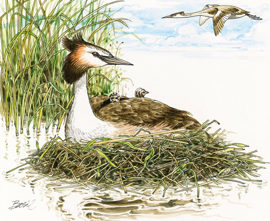 Basil Smith (UK,1925-2010) watercolor painting (1 of 12)