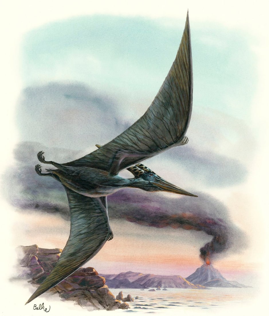 Don Balke (NC,1933-?) gouache painting (1 of 13)