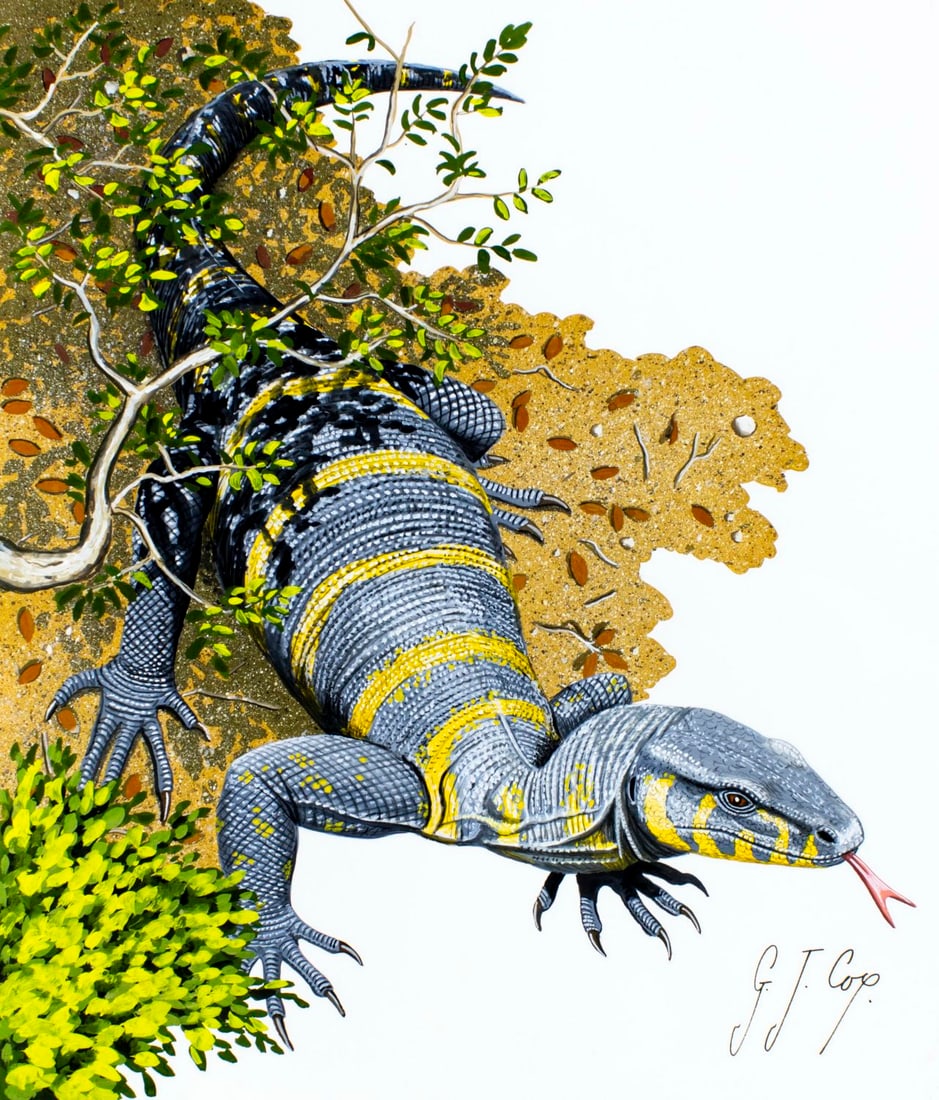 Geoffrey Cox (New Zealand,b 1952) gouache painting (1 of 15)