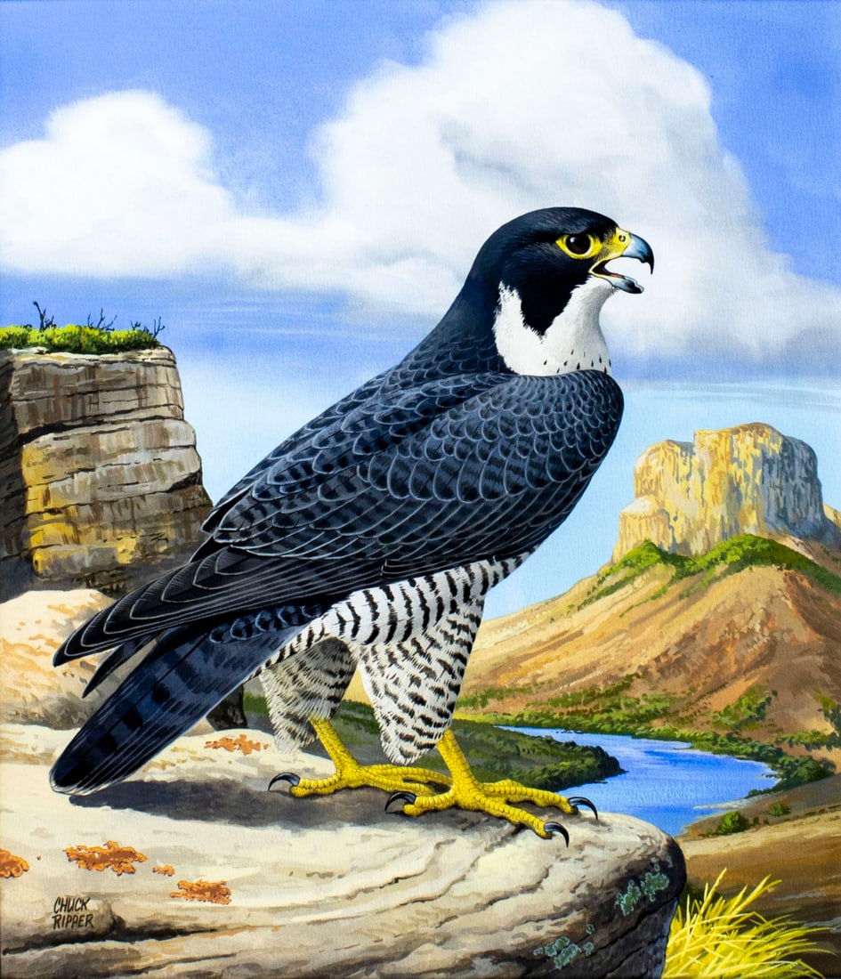 Chuck Ripper (WV,PA,1929-2019) gouache painting (1 of 13)