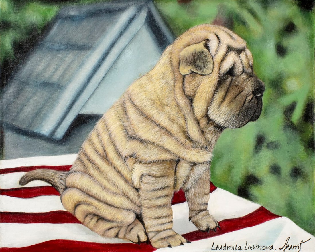 Lyudmila Litvinova (Russia,b 1991) acrylic painting: ARTIST: Lyudmila Litvinova (Russian, born 1991) TITLE: Shar Pei Dog MEDIUM: acrylic on canvas CONDITION: Unstretched (In-House stretching available). Very good. No visible i