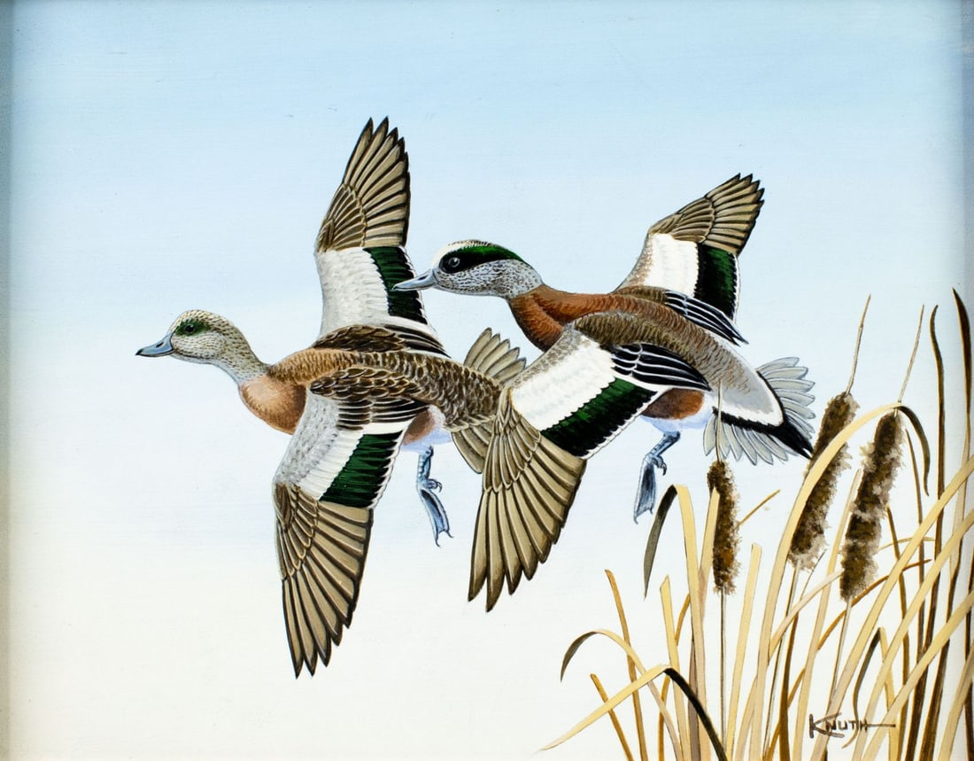 Carl Knuth (VA,WI,1937-2020) oil painting: ARTIST: Carl Spike Knuth (Virginia, Wisconsin, 1937 - 2020) TITLE: Flying Widgeons Ducks MEDIUM: oil on board CONDITION: Overall good. No visible inpaint under UV light. W
