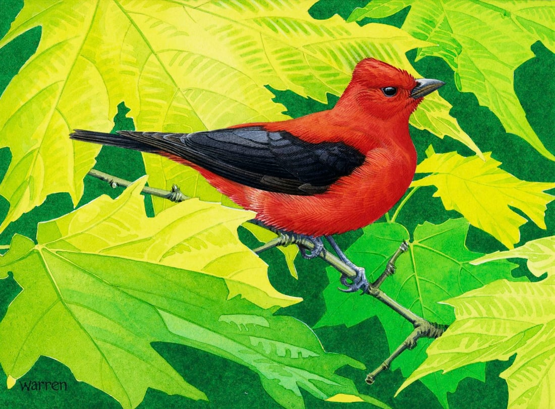 Michael Warren (UK,1938-?) watercolor painting (1 of 12)