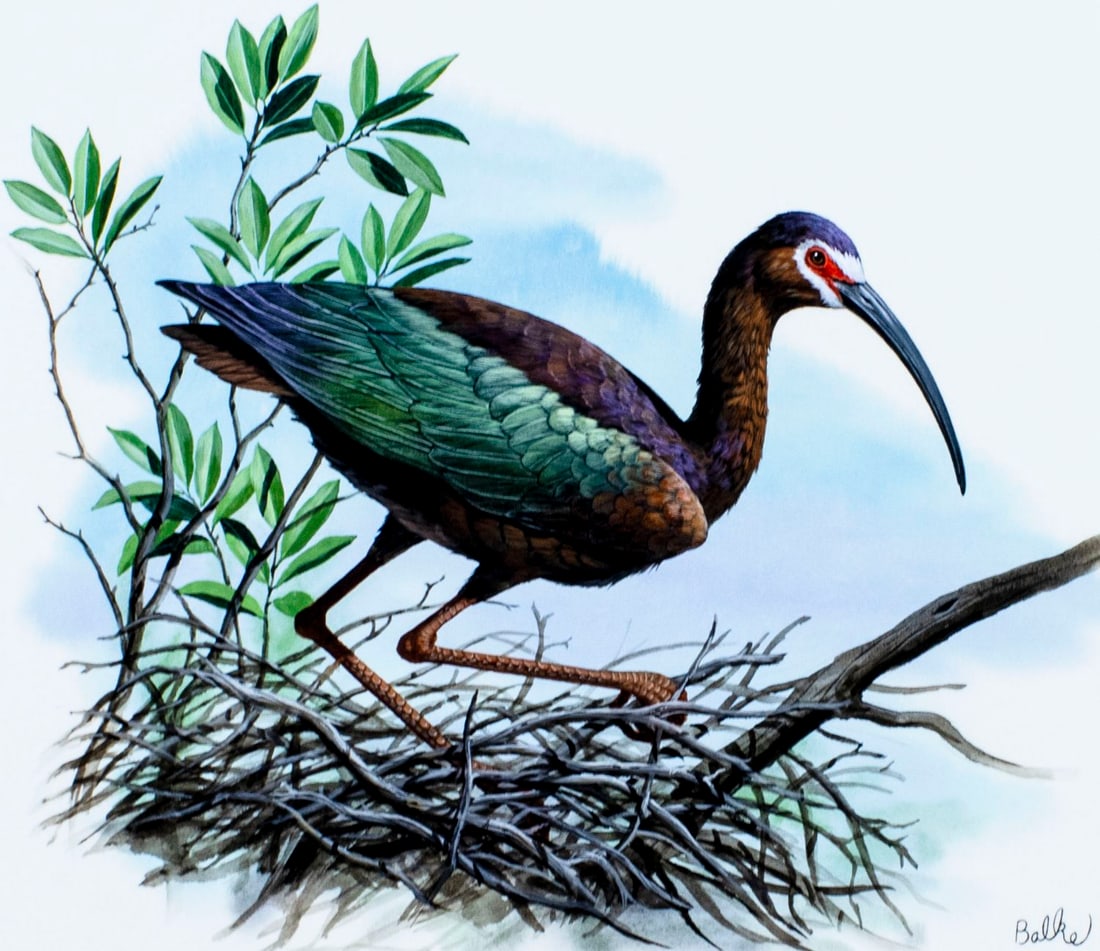 Don Balke (NC,b 1933) gouache painting (1 of 11)