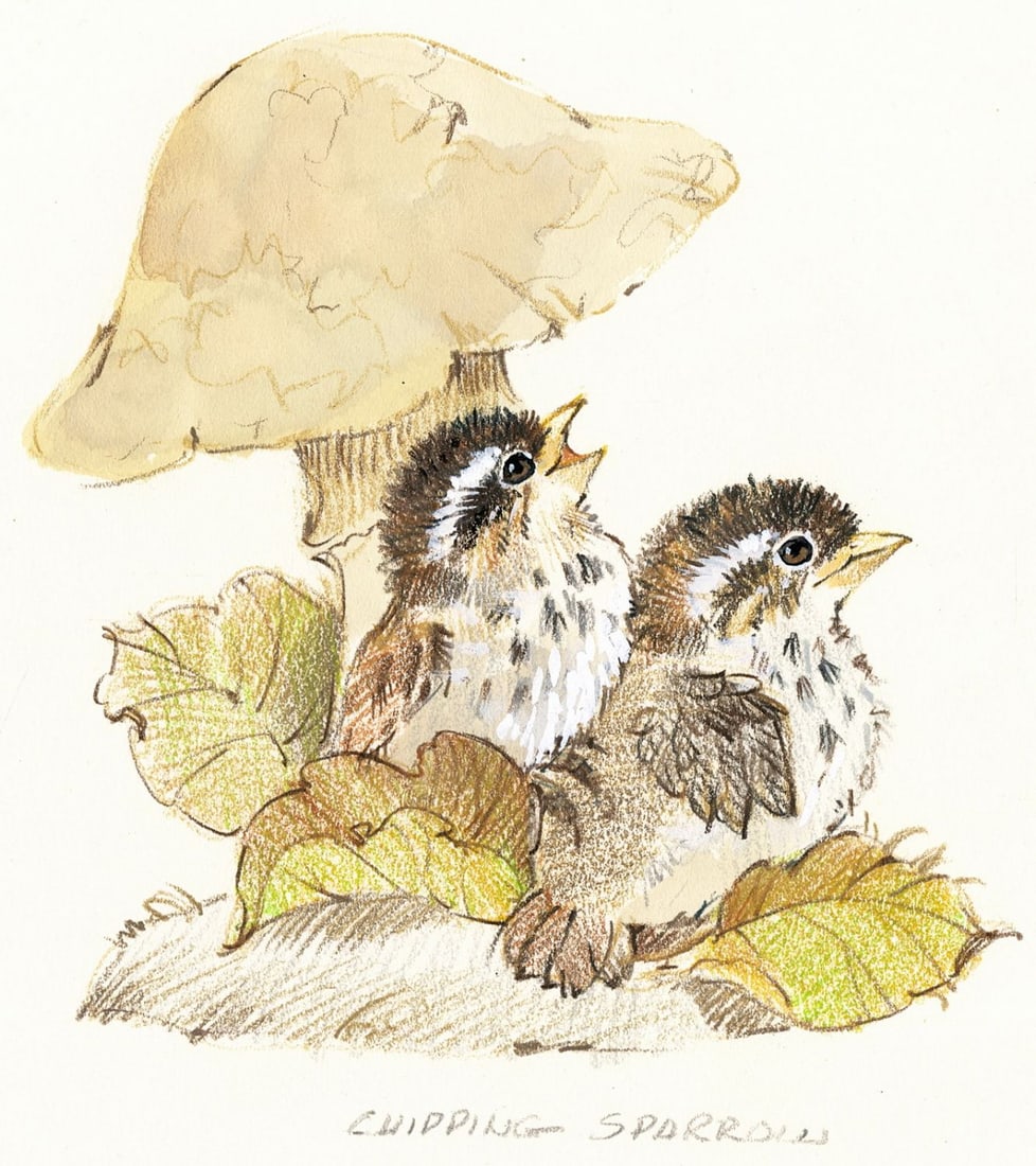 Al Fishman (PA,20C) colored pencil painting (1 of 13)