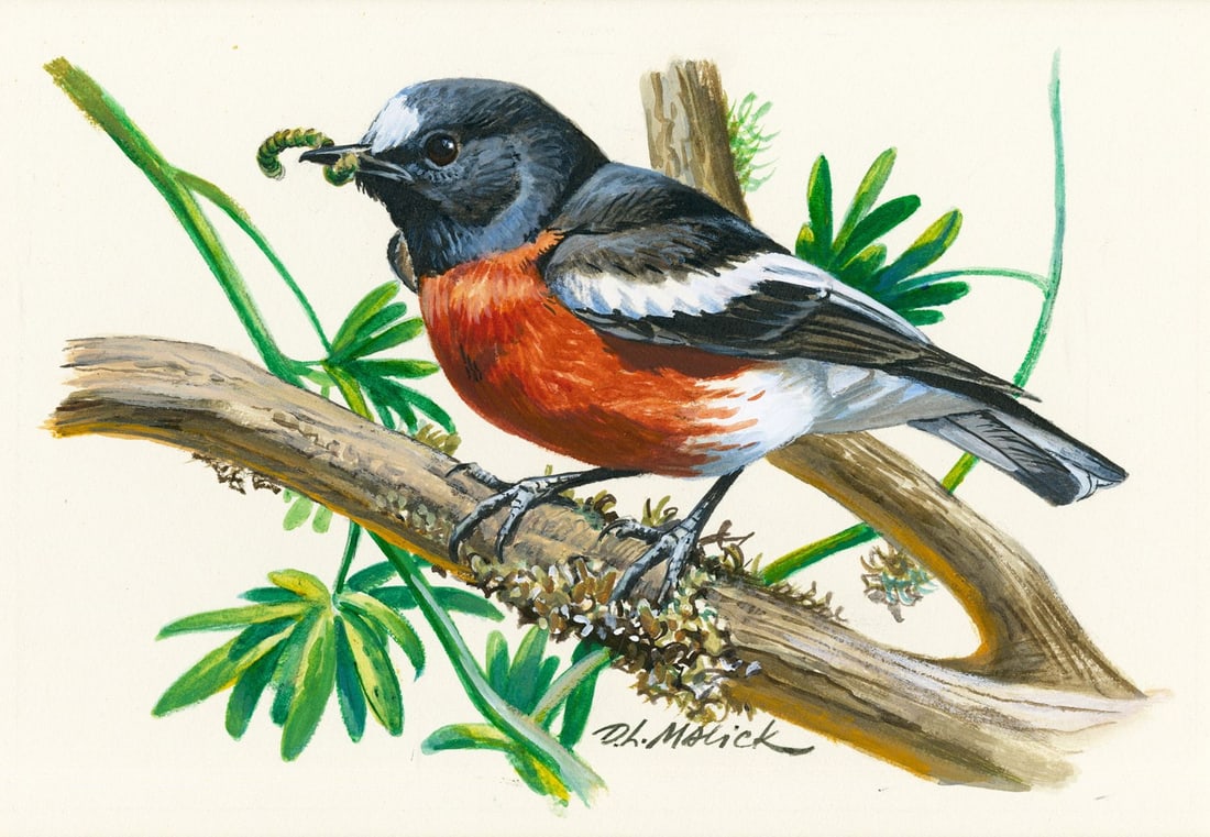 Donald Malick (CO,1929-1986) gouache painting (1 of 13)