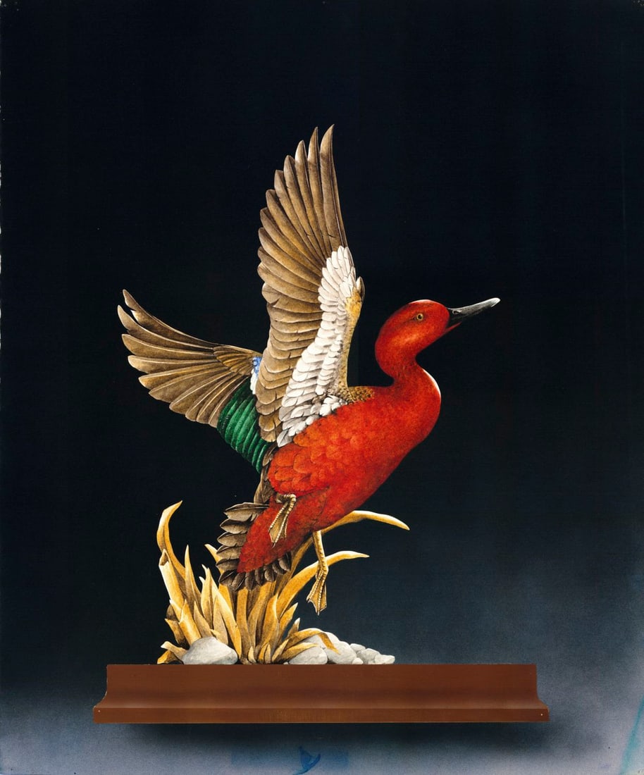 George McMonigle (PA,Hawaii,b 1951) watercolor painting: ARTIST: George McMonigle (Pennsylvania, Hawaiian, born 1951) TITLE: Duck YEAR: 1983 MEDIUM: watercolor on board CONDITION: Some small damages to corners.