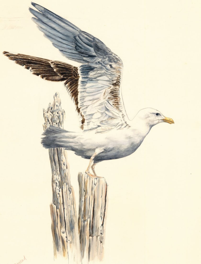 Scott Woolever (MD,20/21C) watercolor painting (1 of 10)