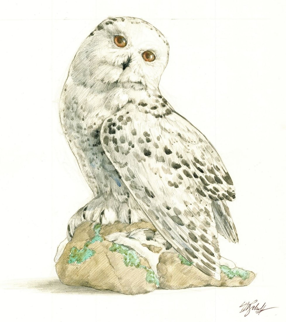 Maureen D Schultz (PA,20C) watercolor painting (1 of 10)