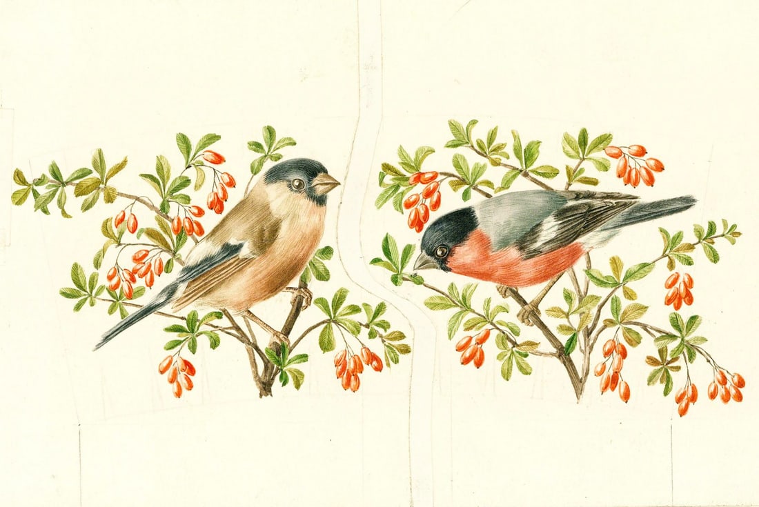 Vintage 20C American watercolor painting (1 of 12)