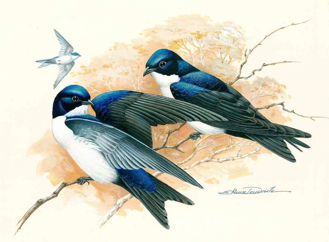 Etienne Demonte (Brazil,1931-2004) gouache painting (1 of 12)