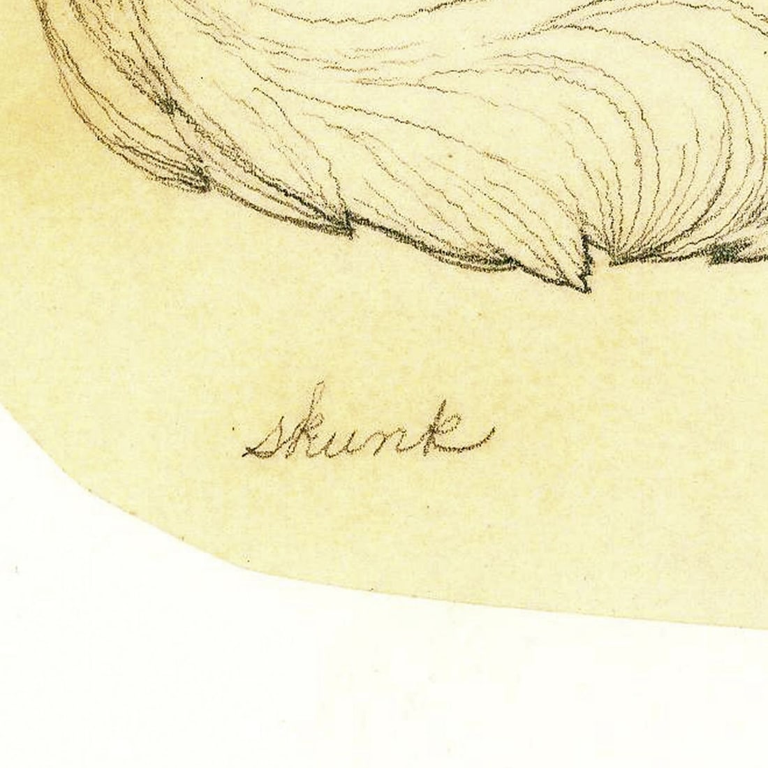 Deborah Bell Jarratt (PA,20/21C) graphite painting - 12