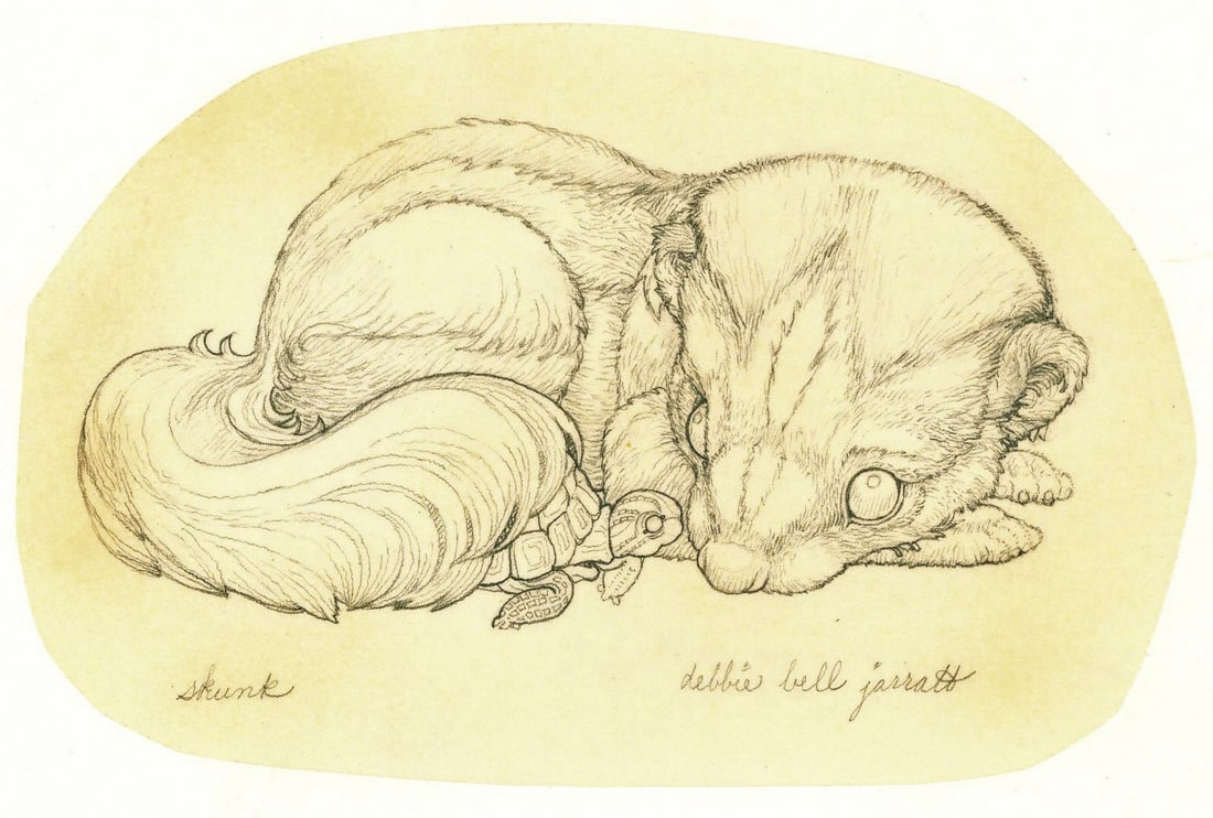 Deborah Bell Jarratt (PA,20/21C) graphite painting: ARTIST: Deborah Bell Jarratt (Pennsylvania, 20/21 centuries) TITLE: Skunk YEAR: 1980s MEDIUM: graphite on paper. Paper applied to board. CONDITION: Some