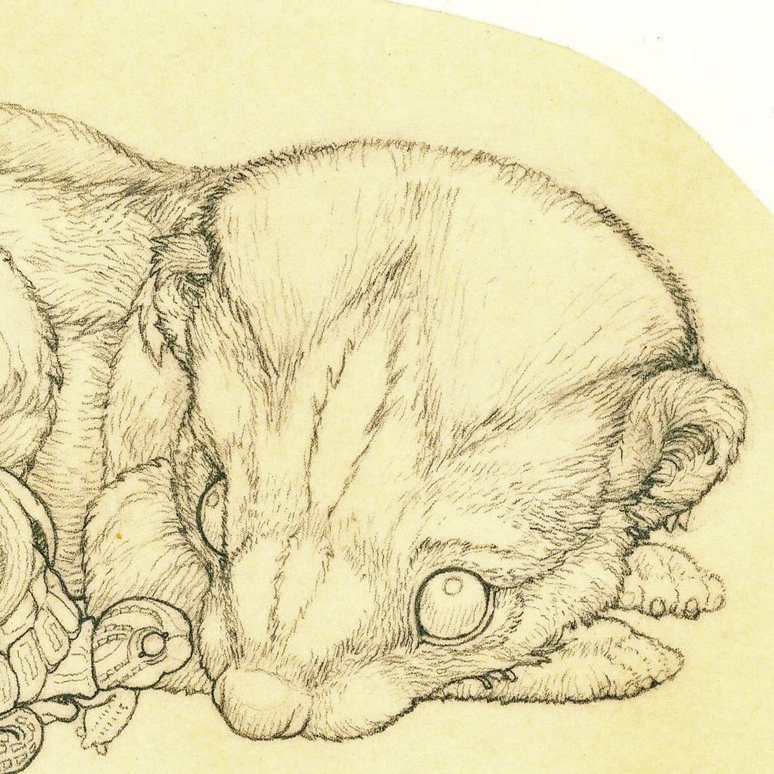 Deborah Bell Jarratt (PA,20/21C) graphite painting - 5