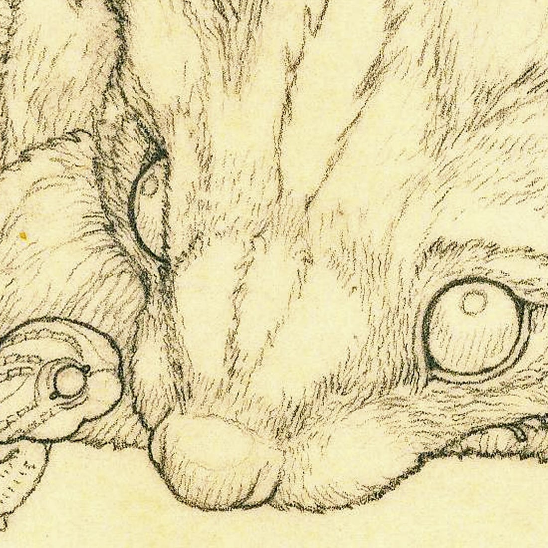 Deborah Bell Jarratt (PA,20/21C) graphite painting - 7