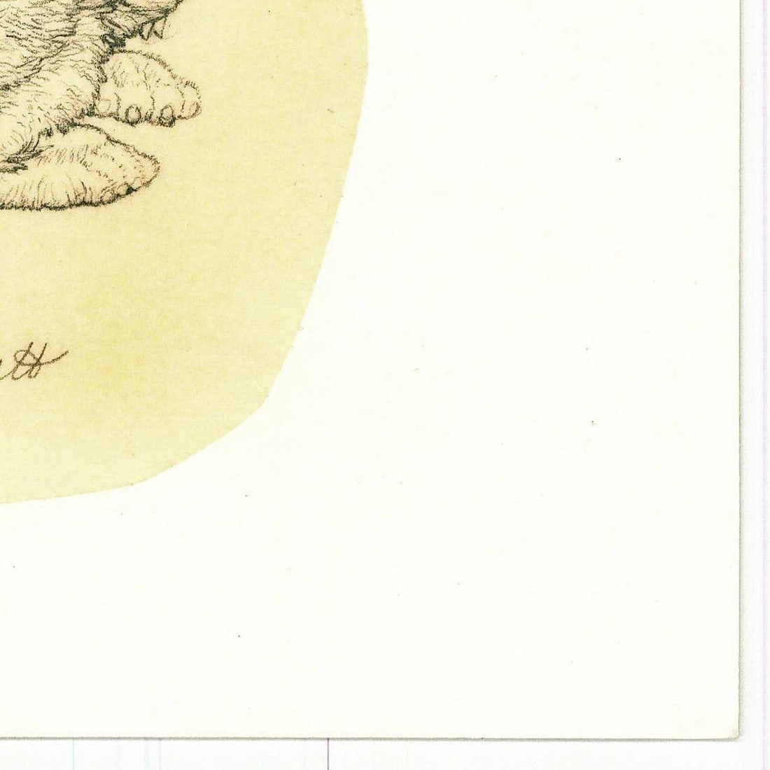 Deborah Bell Jarratt (PA,20/21C) graphite painting - 9