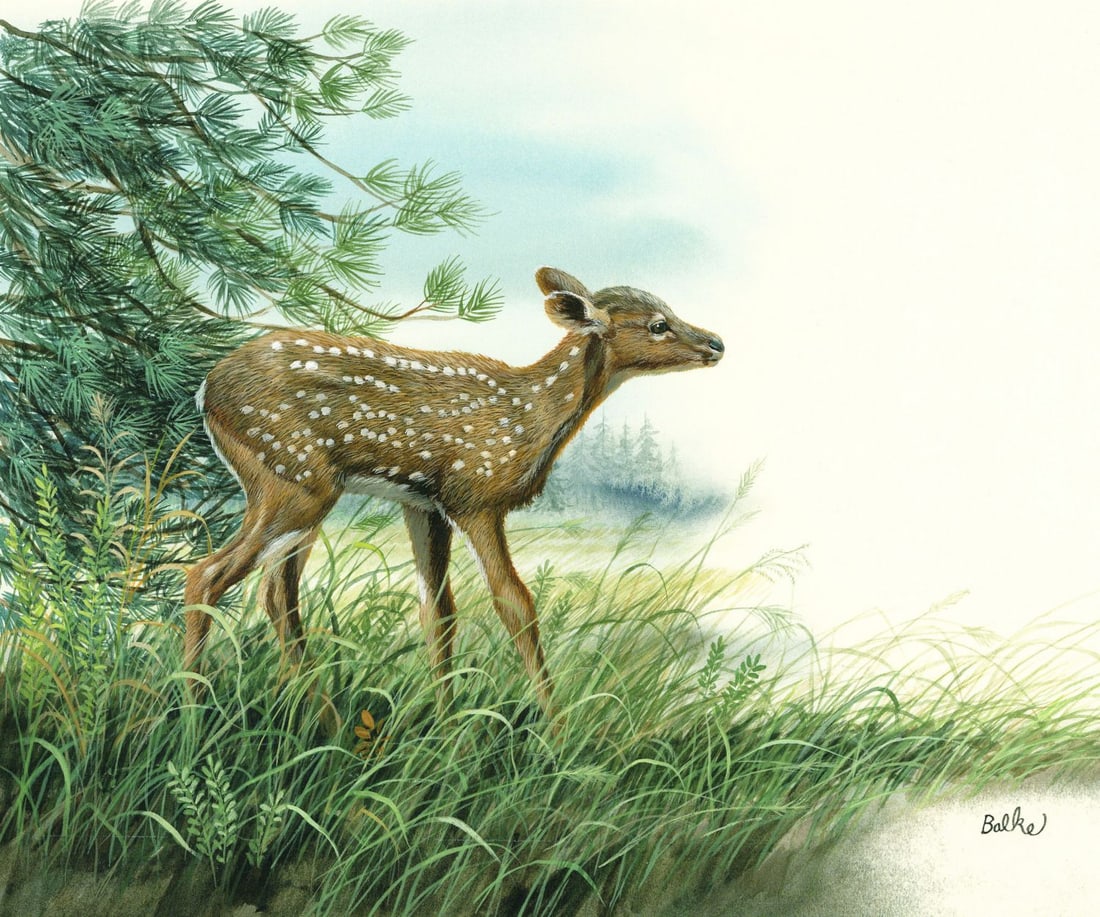 Don Balke (NC,1933-?) gouache painting (1 of 12)